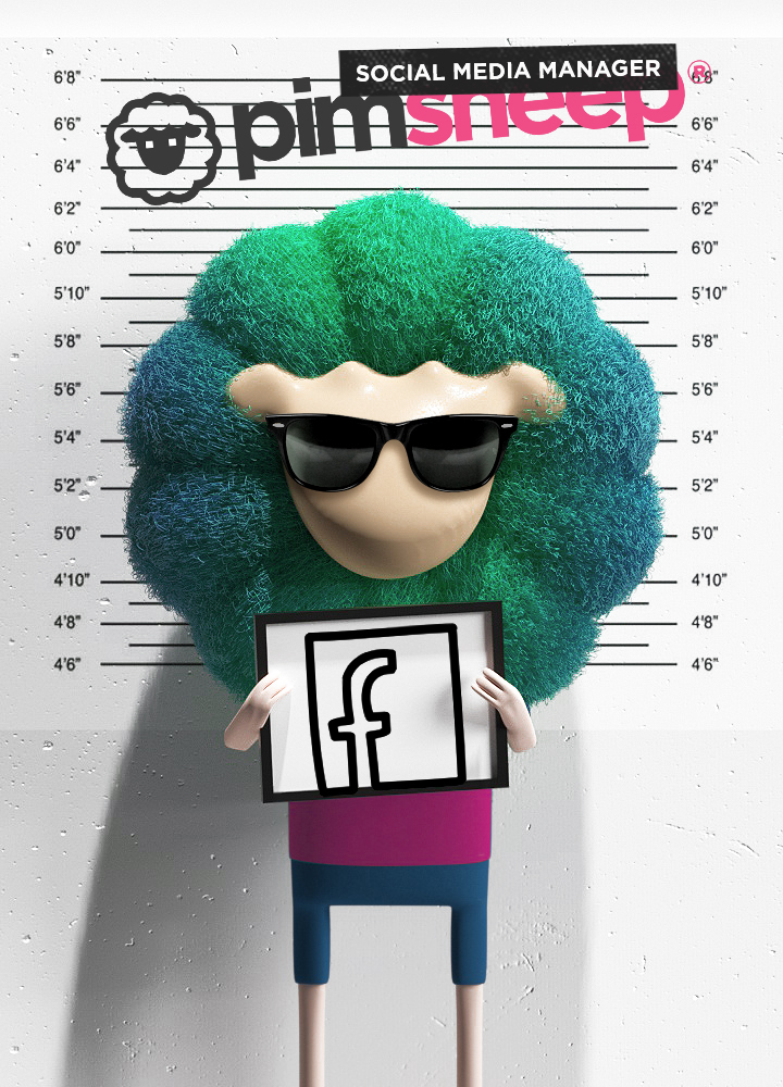 Social Media Manager sheep